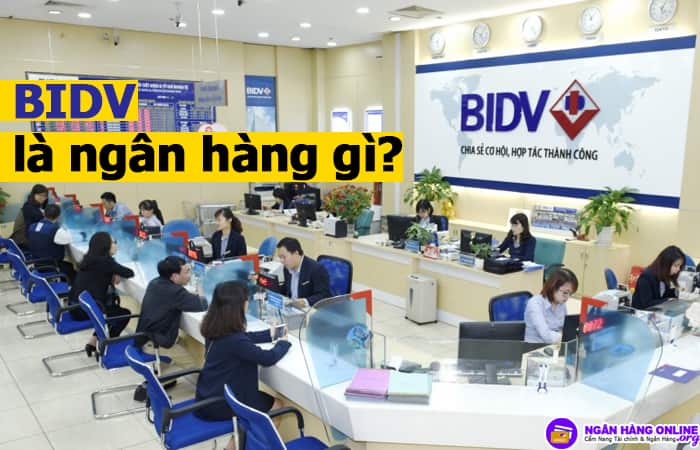 BIDV là ngân hàng gì? BIDV là ngân hàng nhà nước hay tư nhân?